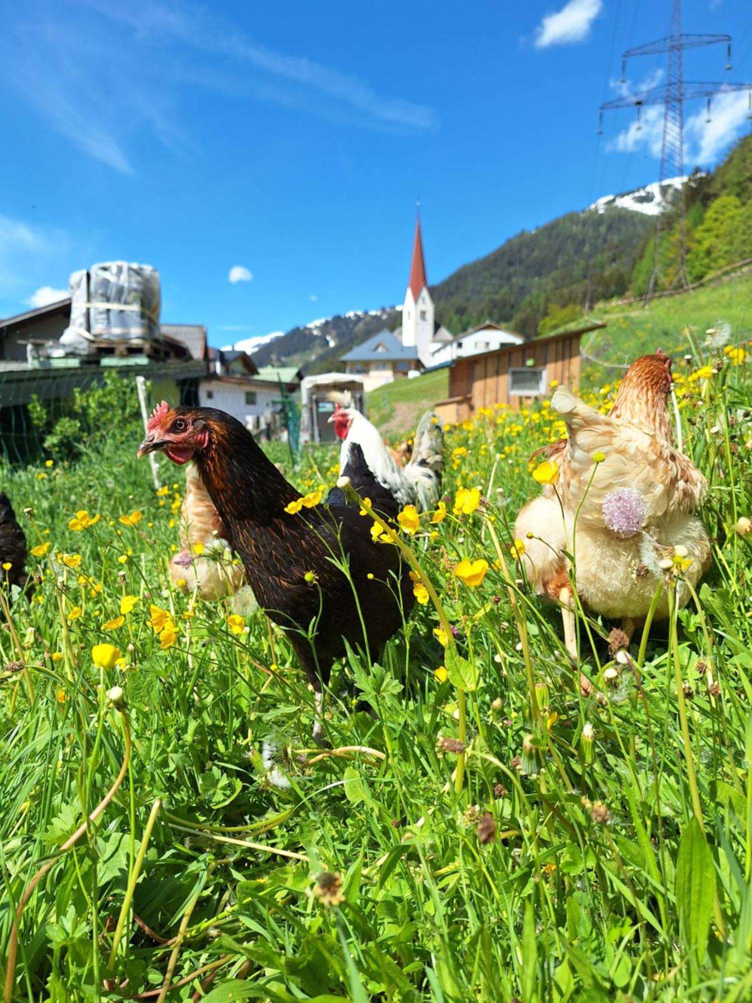 Gsoerhof Sankt Anton am Arlberg Exterior foto